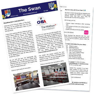 The Swan February 2025