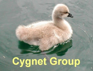 Cygnet Group