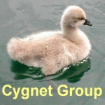 Cygnet Group