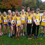 Sport - Cross Country